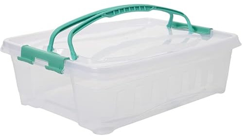 LIVINJA Kuchen Transportbox 1er Tortenbehälter, Kuchencontainer Set, Transportbehälter mit Deckel & klappbaren Griffen, Made in Europe