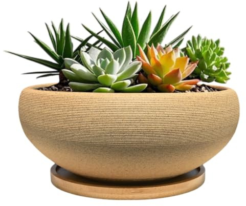 MUZHI 6 inch Succulent Pot - Unglazed Ceramic Bonsai Pot with Bamboo Tray, Rustic Pottery Cactus Planter with Drainage Hole Indoor Outdoor