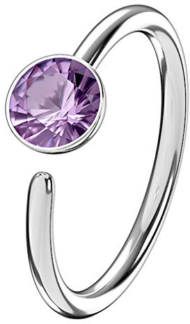 Piercingfaktor Piercing Ring Schild Clicker mit Strass Kristall für Septum Tragus Helix Ohr Nase Lippe Brust Intim
