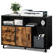 YITAHOME Classeur en Bois, Armoire de classement Mobile à 2 tiroirs latéraux avec Serrure, Support d'imprimante avec étagères de Rangement Ouvertes pour Bureau à Domicile, Noir et Marron Rustique