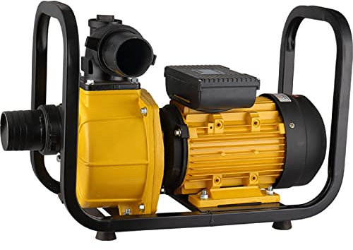 Electric Water Transfer Pump Heavy Duty Semi-Trash Clean Water Pump Gasoline Engine for Pool Water Remove Lawn Garden Irrigate,2.2kw-220V-2inch