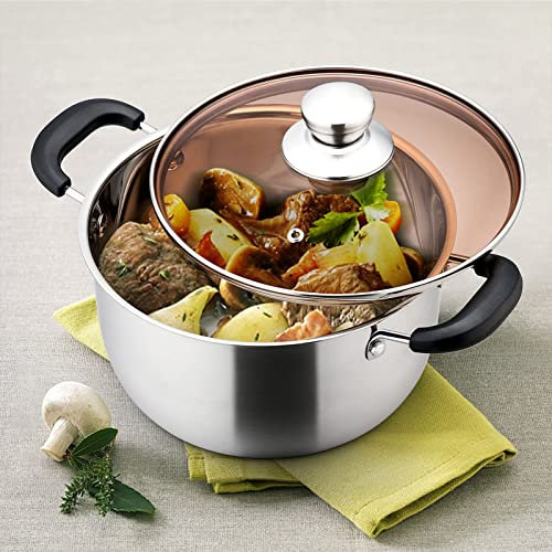 THEGA Olla Sopera - Olla De Sopa De Metal De Acero Inoxidable, Olla Sopera con Tapa De Cristal, Cacerola del Hogar, Apto para Todas Las Estufas, Duradero Y Apto para Lavavajillas. (Size : 26cm)