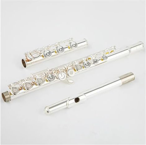 Standard-Kupfernickel-versilberte C-Klappenflöte Mit 17-Loch-Öffnung Und Etui Querflöte kit