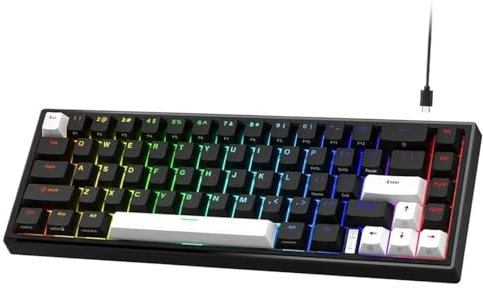 V-K66 60 Percent Mechanical Gaming Keyboard Wired Gasket Mounted Hot-Swap LED Backlit Compact Keyboard With Arrow Compatible With Most Gaming Systems(VK66 BLACK)