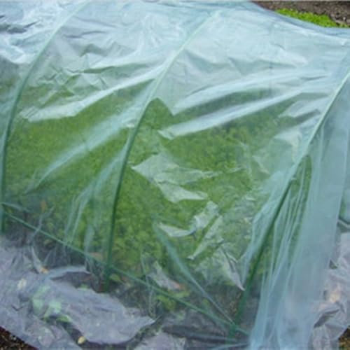 Film de serre en plastique résistant aux intempéries pour applications horticoles et couverture optimale des plantes (2,5 m x 1 m)