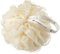 Large Fleur de Douche Exfoliante Couleur Crème de Qualité Supérieure