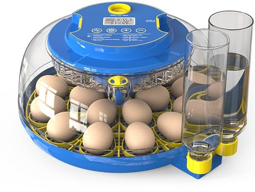 Brutautomat Vollautomatisch Hühner 18 Eier: Inkubator Hühner Vollautomatisch - FOFNON Brutkasten Hühner - Eier-Kandler - Zum Ausbrüten von Wachteln, Hühnern, Enten und Gänsen
