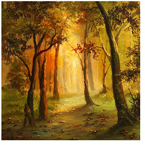 Bilderwelten Wald Fototapete 3D inkl. Kleister 192x192cm - Vliestapete Made in Germany - Tapete Wald Schlafzimmer - Baum Waldtapete Natur - XXL Wandtapete Wald Wohnzimmer Flur T_1618