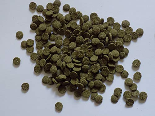 Koidivision Spirulina Algae Wafer Tablet 100Gram - 5KG Mini 6mm Tropical Aquarium Pleco Catfish, bottom Feeder Fish Food Feed (2 kg)