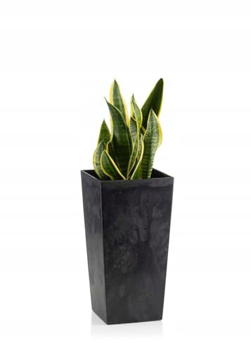 HowHomely Blumentopf Schwarz 57 x 30 x 30 cm Pflanzkübel Groß Außen - Blumenkübel mit Pflanzkübel Einsatz - Pflanzkübel Rechteckig Betonoptik für Wohnzimmer oder Garten