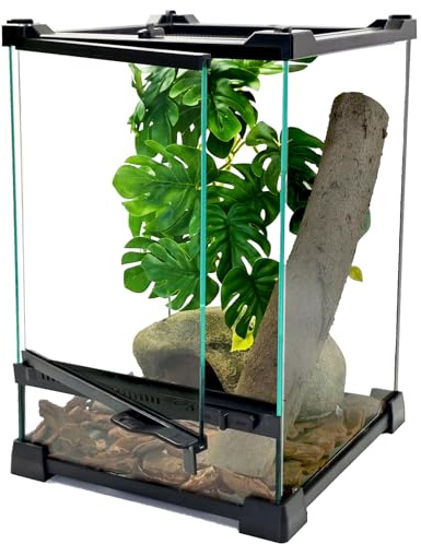 Woyrise Terrarium-Tankbecken für Reptilien, Glas, 20,3 x 20,3 x 30,5 cm, Tür vorne und oben, volle Sicht, visuell ansprechender Lebensraum für Mini-Reptilien oder Amphibien, stapelbar, vertikale