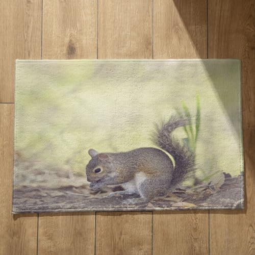CEVAN Go Away Fußmatte, Baumwolle, Eichhörnchen, große Fußmatten, Queen-Size-Größe, weiche Flanell-Oberfläche, anpassbares Design, rutschfeste Fußmatten, 45 x 75 cm