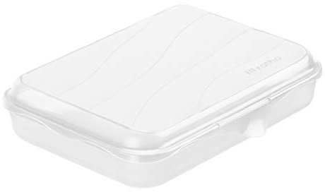 Rotho Fun Vesperdose 0,75l mit Klickverschluss, Kunststoff (PP) BPA-frei, transparent, 0,75l (19,5 x 14,5 x 4,0 cm)