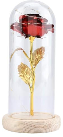 Fiore rosa del piccolo principe, fiore rosa eterno conservato con stringa LED in cupola di vetro.Buon per fidanzata, San Valentino, festa della mamma(Rosso)