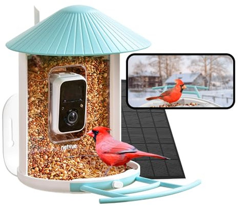 NETVUE by Birdfy Smart Bird Feeder Camera: Auto-Capture & Notify Bird Visits, Permanently Collect Fun Clips, High-Resolution Bird Watching Camera, Bird Feeder Camera+Solar, Xmas Limited Edition