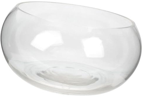 minkissy Bol À Bulles en Verre Globe Vase À Fleurs Rond Décoratif Terrarium Support De Plante À Air pour Fougère Mousse Plantes À Air Succulentes Décoration De Jardin Féerique 20 Cm