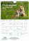 Fuchszauber Planer DIN A4 Kalender für 2025 Fuchs und Füchse - Geschenkset: 1x Kalender 1x Weihnachtsanhänger 1x Grußanhänger (gesamt 3 Teile)