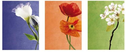 DÖRR Slim Jumbo Album 3 Flowers 29x29 cm