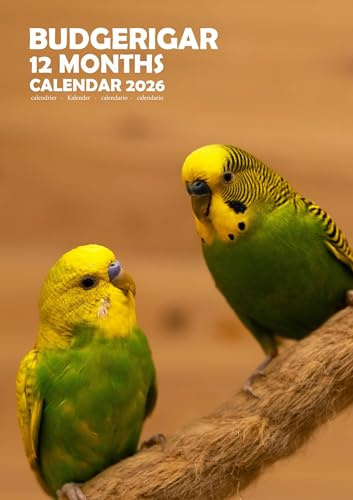 Wellensittiche Kalender 2026, A3, Wirobound, vollfarbig, gratis PPack Kalenderaufkleber