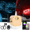 CHINLY Bluetooth 16W RGBW Twinkle LED Fiber Optic Star Deckenleuchten Kit APP/Fernbedienung 450cs*0.75mm* 3m f¡§1r Zuhause/Auto
