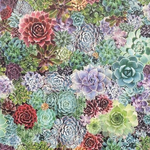 Arthouse Succulent Living Wall Multi Wallpaper Wallpaper 259402