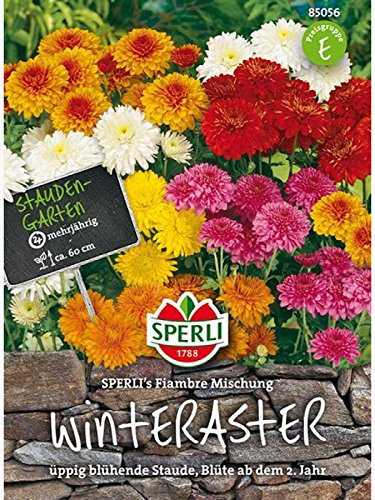 Winteraster SPERLING`s Fiambre Mischung