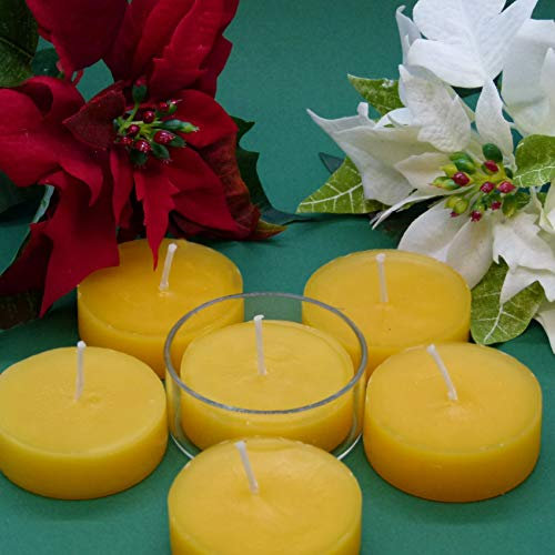 POMMERNTRAUM ® | Maxiteelichter aus 100% Bienenwachs Bienenwachsteelichter + 1 Maxiteelichtglas Jumboteelichtglas (6-er Pack Maxiteelichter + 1 Glas)