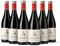 Alcorta Ágil Roble Pack 6 botellas D.O.Ca Ribera Vino - 750 ml
