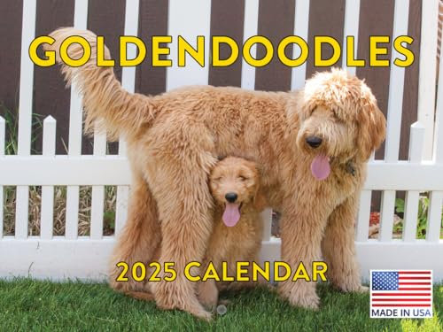 Goldendoodle Kalender 2025 Golden Doodle Monats-Wandkalender 12 Monate | Hergestellt in den USA