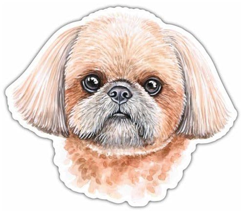 Samunshi® Shih Tzu Aufkleber Autoaufkleber für Motorrad Fahrrad Roller oder Auto Sticker Fahrrad Mtb Mountainbike Rennrad Hund Dog Dogo 10cm Shih Tzu