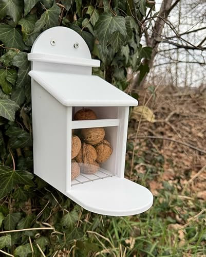 Eichhörnchen Futterhaus Wetterfest - Stabile Bauweise mit Kunststoffscheibe, Belüftetes Futterreservoir & rutschfeste Sitzfläche – Sicher & Langlebig (Nature Weiss)