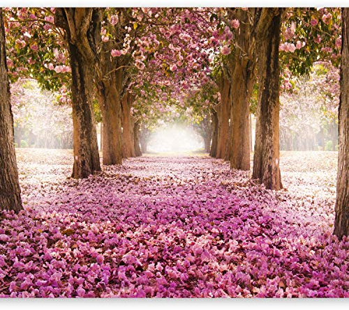 Wallpaper - Wall Mural Abstraction Nature 300x210 cm / 119x83 - Non-Woven Premium Art Print Fleece Wall Mural Decoration Poster Picture Design Modern - Botanical Way Flowers Trees Pink c-A-0031-a-b