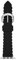 Kate Spade New York Female's Apple Strap, Watch Strap KSS0018