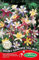 Germisem Graines Ancolie double variée DOUBLE MIX