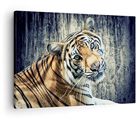 ARTTOR Bilder auf Leinwand 70x50cm Wandbild Tiere - 2464