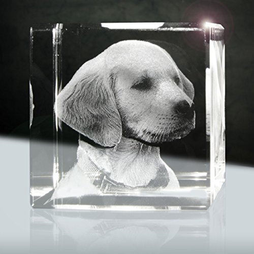 3D Glaslaserfoto | Würfel 50mm | 1 Person oder Tier zB als Geschenk mit deinem lieblings Tier