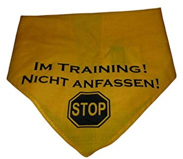 Hundehalstuch Im Training! Nicht Anfassen! Stop