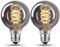 BNITITU Edison LED Vintage Glühbirne, Dimmbar Glühbirne E27 4W LED Warmweiss, Vintage Edison Dimmbar lampe E27 Ideal für Nostalgie und Retro Beleuchtung - Rauchgra - 2 Stück（G80 YHS）