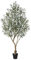 Verinatural Artificial Olive Tree 180cm Indoor Decor - Tall Faux Plant UV Resistant & Adjustable Branches - Large Fake Plant for Living Room Home Office Floor Indoors Outdoors