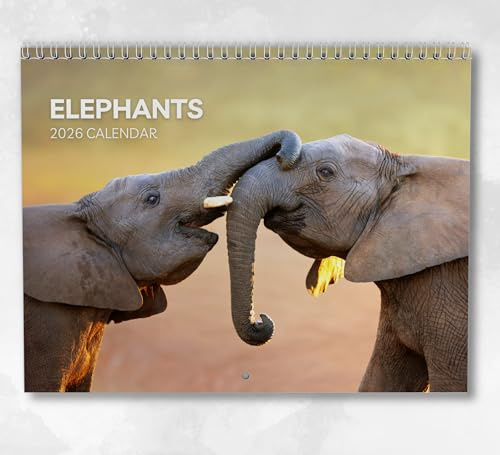 Elefant Kalender 2026 - Monatlicher Wandkalender mit Notizen, hängend im A4-Format, inklusive Schlüsseldaten & Feiertagen