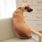 Nicole Knupfer 3D Zierkissen mit waschbarem Bezug, Cute Katze, Dekokissen, weiches Kopfkissen, Sofakissen Couchkissen Home Decoration, geeignet für Allergiker (D,70cm)