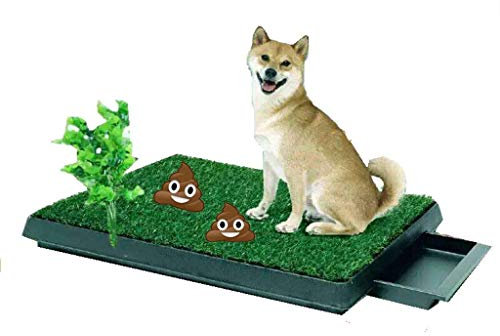Qazxsw Katzenstreukiste Hundetoilette Indoor-Trainingspad, Welpen-Töpfchen-Trainings-Grasmatte, herausnehmbare Abfallschale für ungiftigen Kunstrasen Einfachere Reinigung, 64X51CM