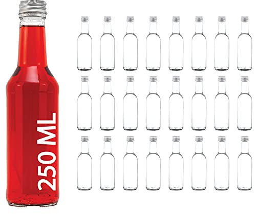 casavetro 24 Glasflaschen 250 ml BOR-Krysia+Trichter kleine Flaschen Saftflaschen Likörflaschen Weinflasche Flaschen mit Schraubverschluss 0,25 Liter l (24 x 250ml)