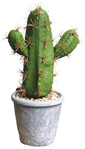 TOPPERFUN Künstlicher Kaktus Bonsai Kunststoff Simulierte Pflanze Heimdekoration Langlebig Büro Wohnzimmer Dekor Mit Topf