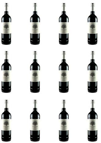 Le Charme Merlot Red Wine | 12 x 75cl Bottles | French Merlot from Côtes de Gascogne | Soft, Juicy & Medium-Bodied | 13.5% ABV | Smooth Plum & Cherry Flavours