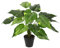 Künstliche Blattpflanze im Topf Pothos Pflanze Efeutute Photospflanze Kunstpflanze Seidenblumen Real Touch Dekopflanze Grünpflanze Seidenpflanze Zimmerpflanze Kunstblume Deko Büropflanze, 40x25x25cm