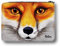 Wandtattoo Loft Gefüllte Federtasche Federmappe Fuchs personalisiert Wunschname Geschenk Geburtstag Einschulungsgeschenk