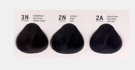 Acid Couleur 2n, 120 Ml Goldwell Depot, 2N schwarz