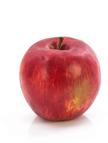 artplants.de Deko Apfel rot, 7,5cm, Ø 8cm - Früchte Deko - Künstliche Apfel