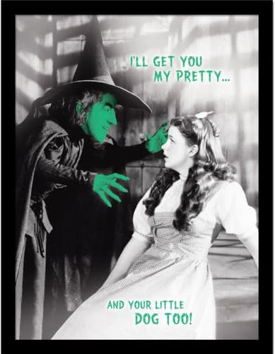 The Wizard Of Oz - Gerahmtes Poster I´ll Get You My Pretty (40 cm x 30 cm) (Schwarz/Weiß/Grün)